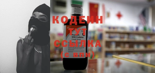 гидра Абаза