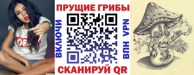 даркнет телеграм  omg онион  Псилоцибиновые грибы MAGIC MUSHROOMS  Галич  как найти закладки 